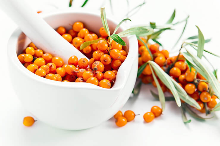 モンゴルの砂漠