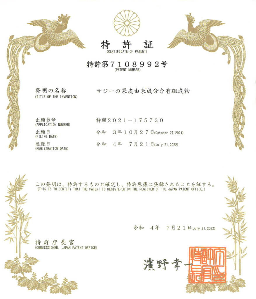サジーの果皮由来成分含有組成物の特許証書